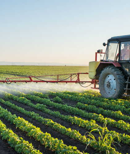 Thuốc bảo vệ thực vật